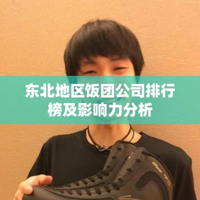 东北地区饭团公司排行榜及影响力分析