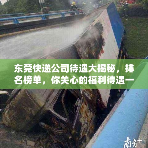 东莞快递公司待遇大揭秘，排名榜单，你关心的福利待遇一网打尽！