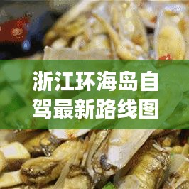 浙江环海岛自驾最新路线图曝光，绝美旅程一网打尽！