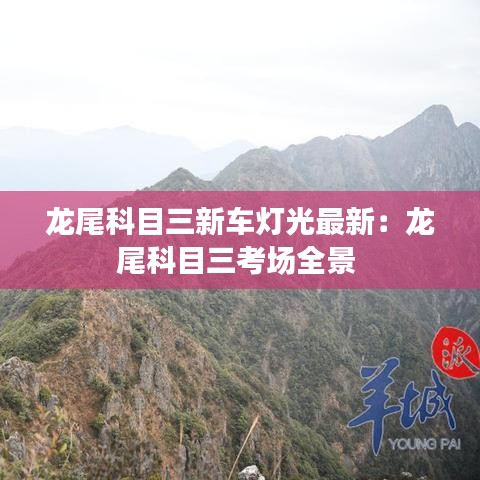 龙尾科目三新车灯光最新：龙尾科目三考场全景 