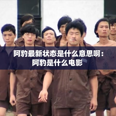 阿豹最新状态是什么意思啊：阿豹是什么电影 