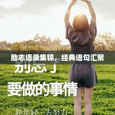 励志语录集锦，经典语句汇聚