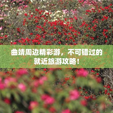 曲靖周边精彩游，不可错过的就近旅游攻略！