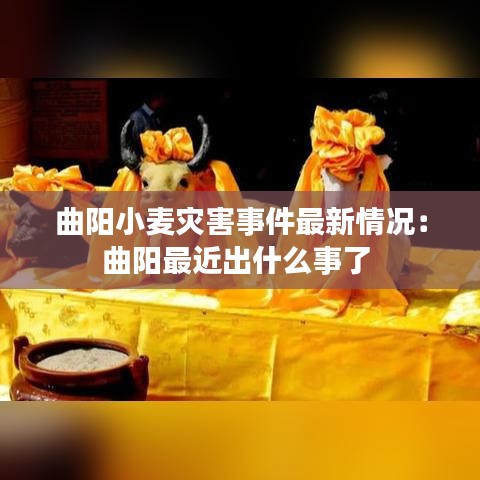 大张挞伐 第2页