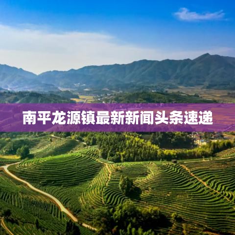 南平龙源镇最新新闻头条速递