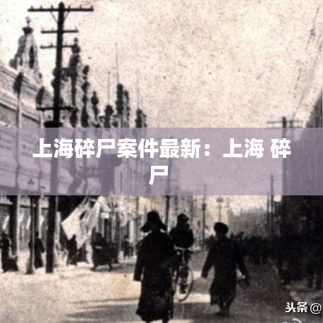 上海碎尸案件最新：上海 碎尸 