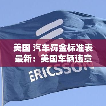 美国 汽车罚金标准表最新：美国车辆违章查询网站 