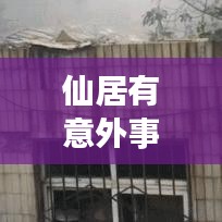 仙居有意外事故吗今天最新消息：仙居怎么了 