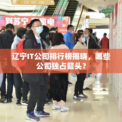 辽宁IT公司排行榜揭晓，哪些公司独占鳌头？