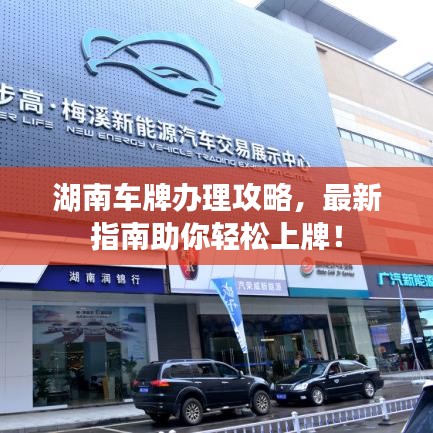 湖南车牌办理攻略，最新指南助你轻松上牌！