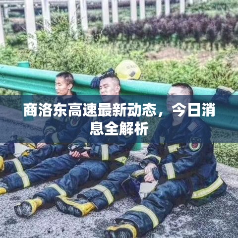 商洛东高速最新动态，今日消息全解析