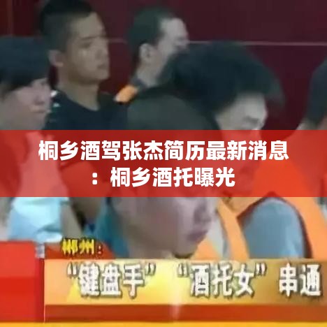 桐乡酒驾张杰简历最新消息：桐乡酒托曝光 