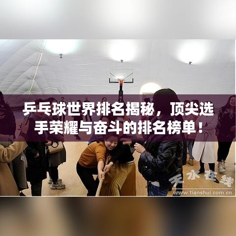 乒乓球世界排名揭秘，顶尖选手荣耀与奋斗的排名榜单！
