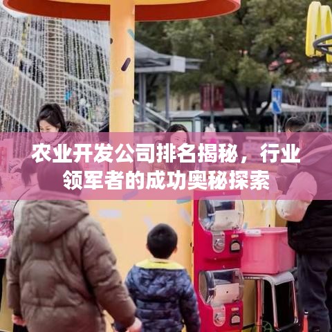 农业开发公司排名揭秘，行业领军者的成功奥秘探索