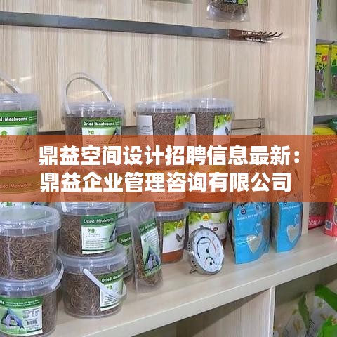 鼎益空间设计招聘信息最新：鼎益企业管理咨询有限公司 