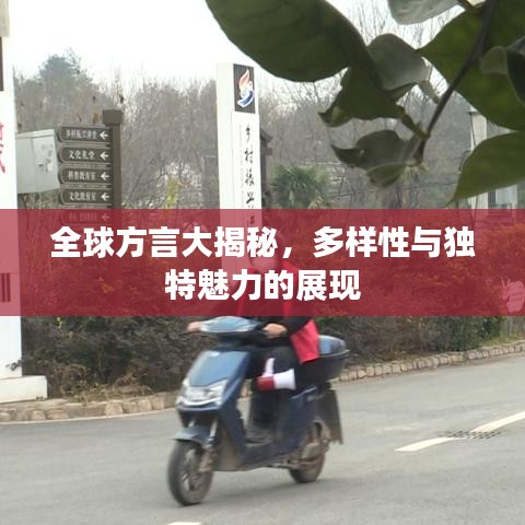 全球方言大揭秘，多样性与独特魅力的展现