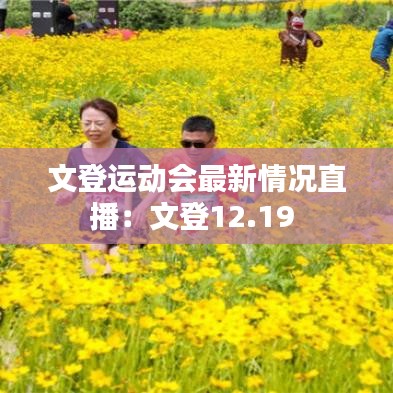 文登运动会最新情况直播：文登12.19 