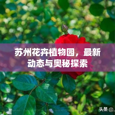 苏州花卉植物园，最新动态与奥秘探索