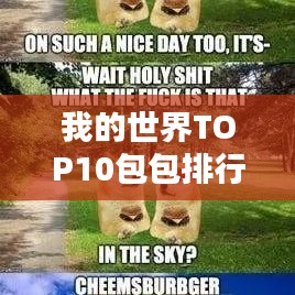 我的世界TOP10包包排行榜，精选榜单不容错过！