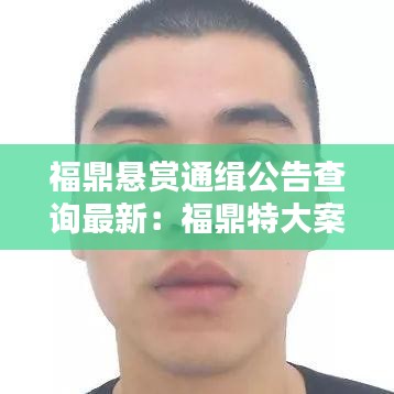 福鼎悬赏通缉公告查询最新：福鼎特大案 