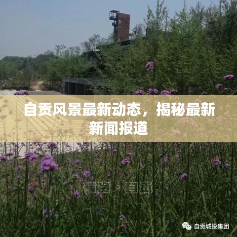 自贡风景最新动态，揭秘最新新闻报道
