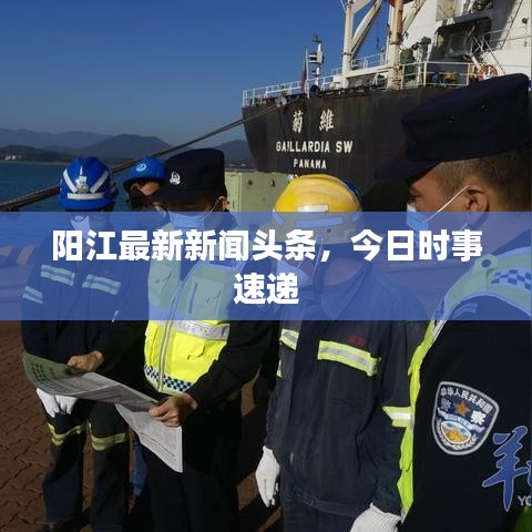 阳江最新新闻头条，今日时事速递