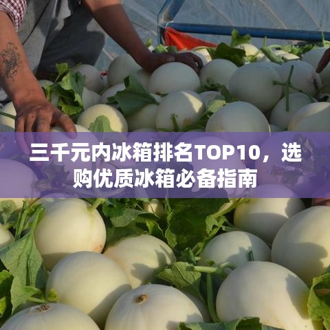 三千元内冰箱排名TOP10，选购优质冰箱必备指南
