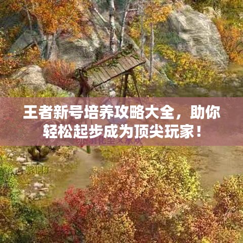 王者新号培养攻略大全，助你轻松起步成为顶尖玩家！