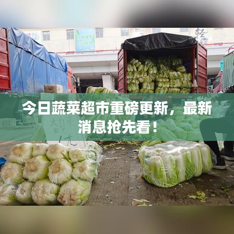 今日蔬菜超市重磅更新，最新消息抢先看！