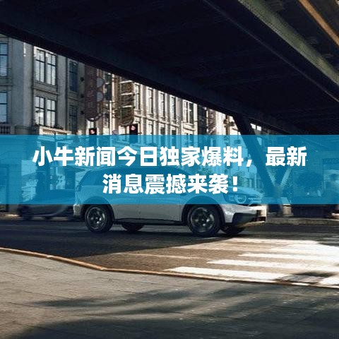 小牛新闻今日独家爆料，最新消息震撼来袭！