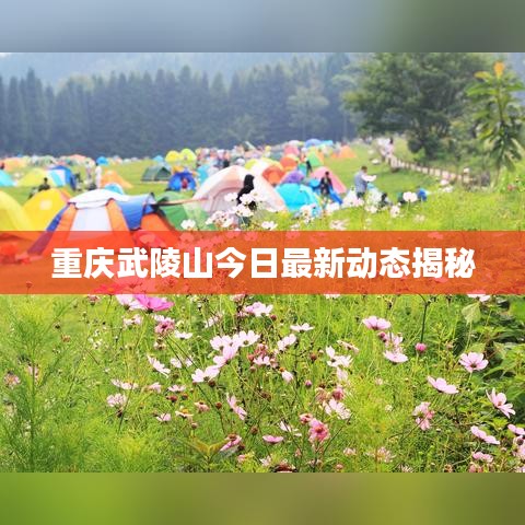 重庆武陵山今日最新动态揭秘