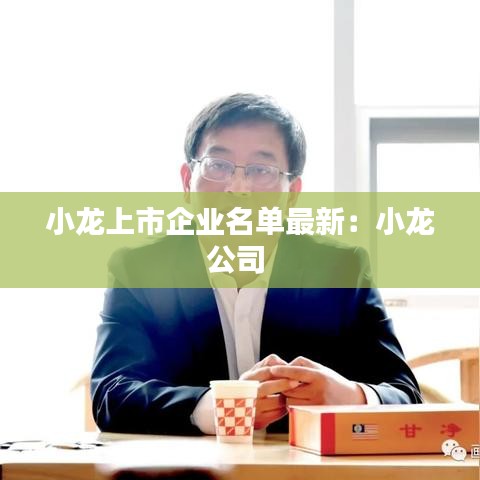 小龙上市企业名单最新：小龙公司 