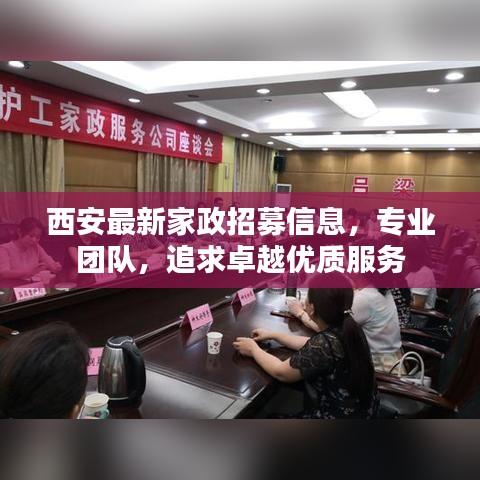 西安最新家政招募信息，专业团队，追求卓越优质服务