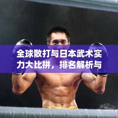 全球散打与日本武术实力大比拼，排名解析与实力展示