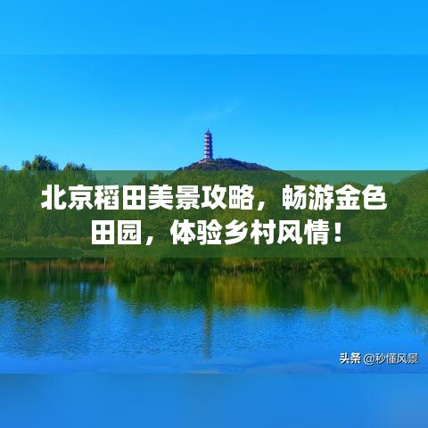 北京稻田美景攻略，畅游金色田园，体验乡村风情！