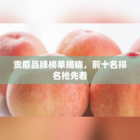 贡眉品牌榜单揭晓，前十名排名抢先看