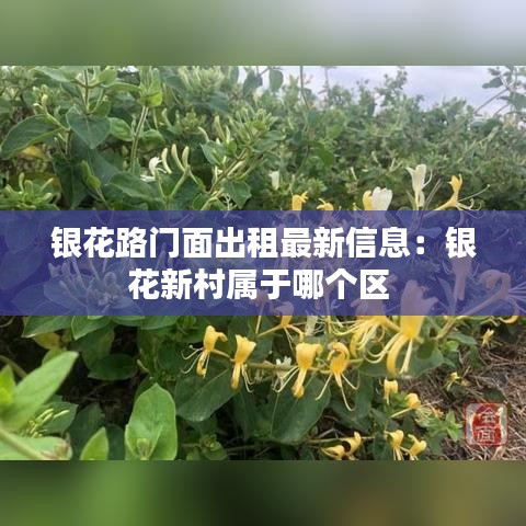 草率从事 第2页