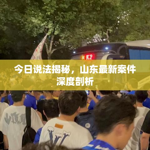 今日说法揭秘，山东最新案件深度剖析