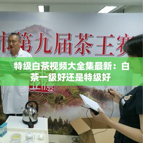 特级白茶视频大全集最新：白茶一级好还是特级好 