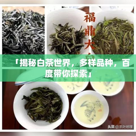 「揭秘白茶世界，多样品种，百度带你探索」