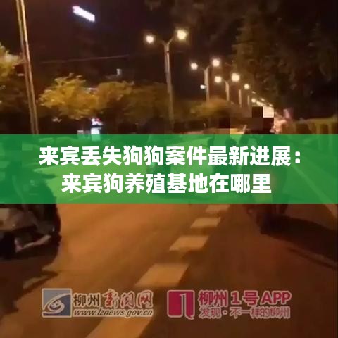 来宾丢失狗狗案件最新进展：来宾狗养殖基地在哪里 