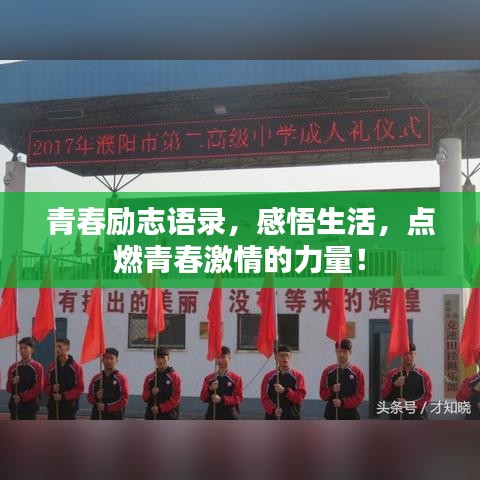 青春励志语录，感悟生活，点燃青春激情的力量！