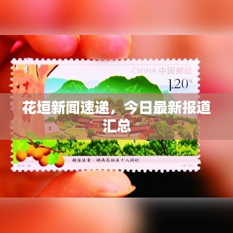 花垣新闻速递，今日最新报道汇总