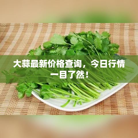 大蒜最新价格查询，今日行情一目了然！