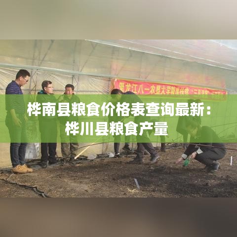 桦南县粮食价格表查询最新：桦川县粮食产量 
