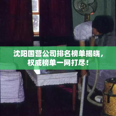 沈阳国营公司排名榜单揭晓，权威榜单一网打尽！