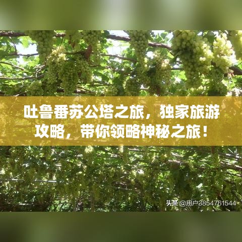 草率收兵 第2页