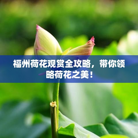 节衣缩食 第2页