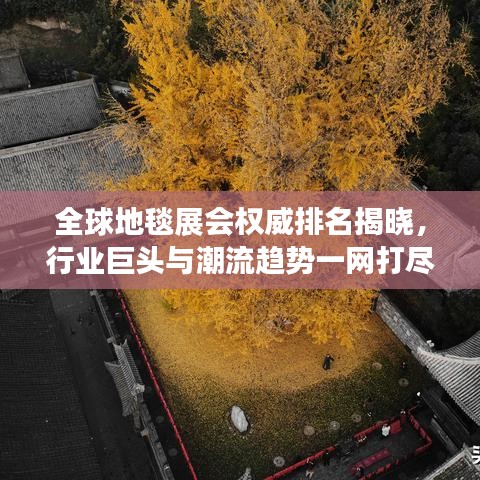 全球地毯展会权威排名揭晓，行业巨头与潮流趋势一网打尽