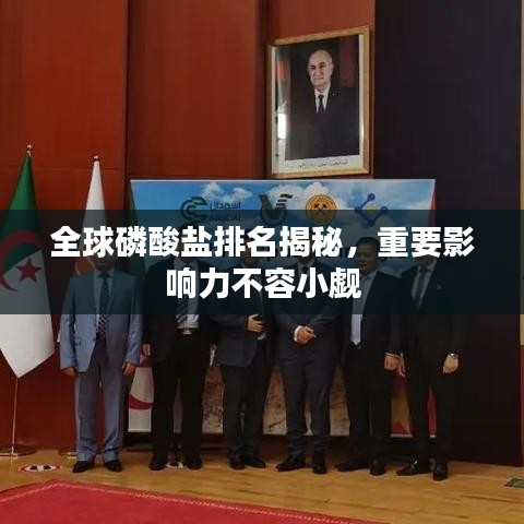 全球磷酸盐排名揭秘，重要影响力不容小觑